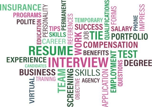 Types of Human Resource (HR) Profile in an Organization 1 Types of Human Resource (HR) Profile